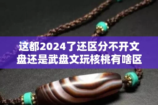 这都2024了还区分不开文盘还是武盘文玩核桃有啥区别吗？-第1张图片-文玩之家